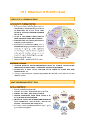 TEMA-16.pdf