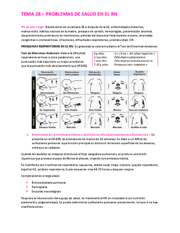 Tema-28-Problemas-de-salud-en-el-RN.pdf