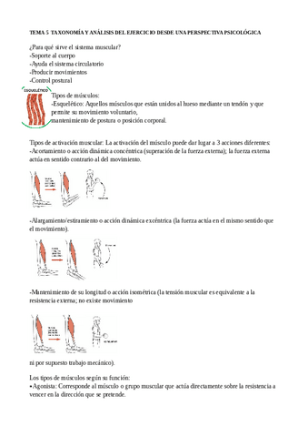 sistematica-5-a-7.pdf