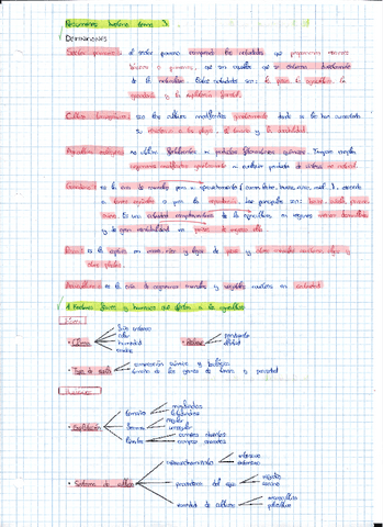 tema3.pdf