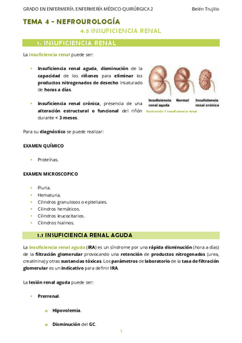 MQ2-Tema4-Nefrourologia-3InsuficienciaRenal.pdf