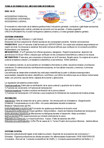 EMBRIOLOGIA-9-10-11.pdf