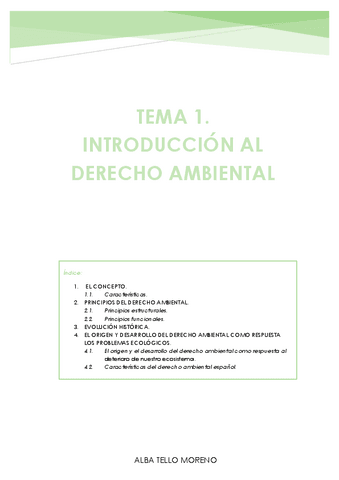 TEMA-1.pdf