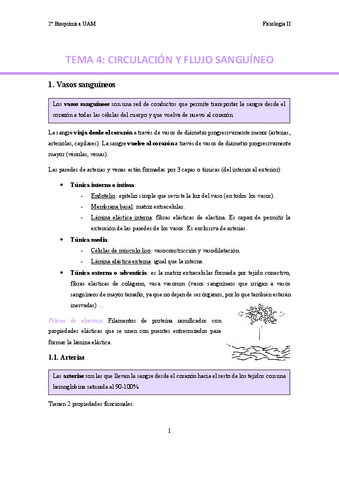 TEMA-4.-Vasos-sanguineos..pdf