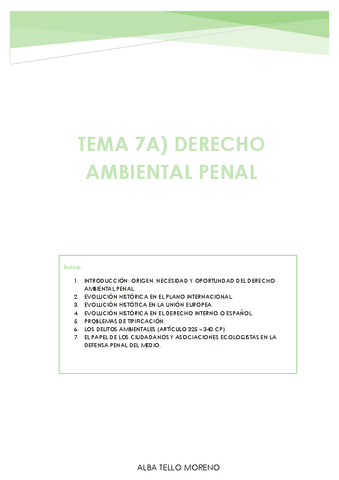 TEMA-7-A-ambiental-penal.pdf
