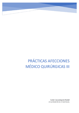 PRACTICAS-AMQ3.pdf