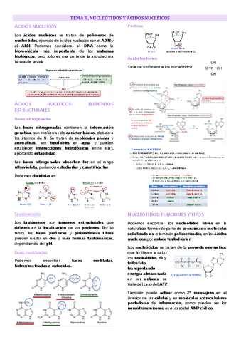 Tema 9 química biomolecular, Nucleótidos y ácidos nucleicos.pdf