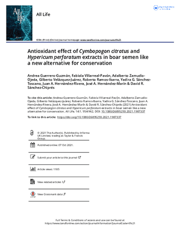 06-Antioxidant-effect-of-Cymbopogon-citratus-and-Hypericum-perforatum-extracts-in-boar-semen-like.pdf