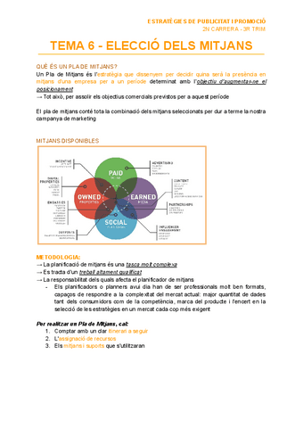 TEMA-6-ELECCIO-DELS-MITJANS.pdf
