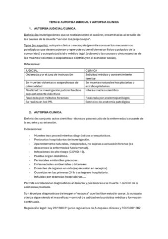TEMA-6.pdf