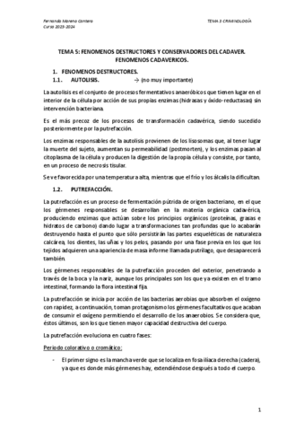TEMA-5.pdf
