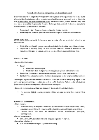 Apuntes-Direccion-Comercial.pdf