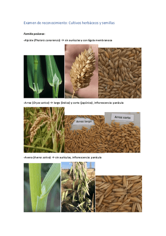 Examen-de-reconocimiento-Cultivos-herbaceos-y-semillas.pdf