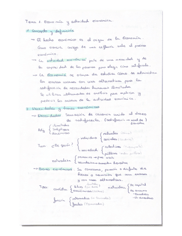 Economia-Temas-1-5.pdf