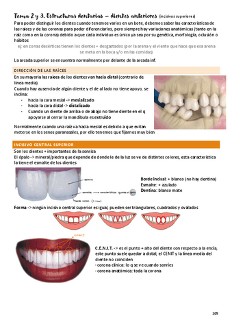 tema-2-y-3-incisivos-superiores.pdf