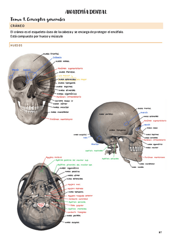 tema-1-conceptos-generales.pdf