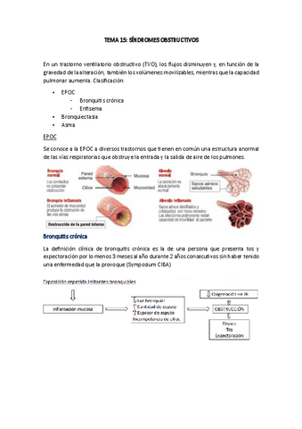 TEMA-15-FESC-III.pdf