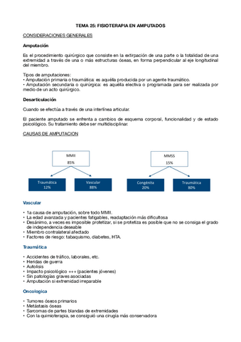TEMA-25-FESC-III.pdf