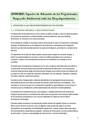 SEMINARIO-Espacios-de-Actuacion-de-los-Profesionales.pdf