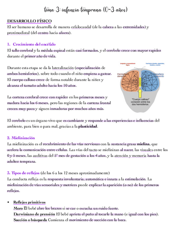 tema-3.pdf