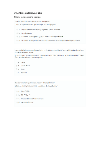 Evaluacion-continua-Arce-2024.pdf