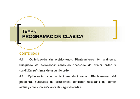 Tema-6-Programacion-Clasica.pdf