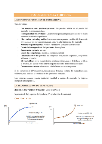 T3ECONOMIA.pdf