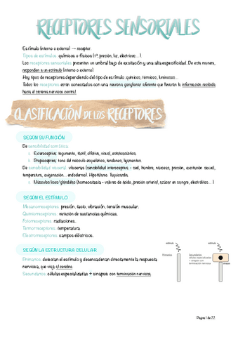 8.-Receptores-sensoriales.pdf