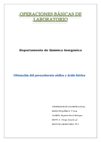 PEROXOBORATO SODICO.pdf