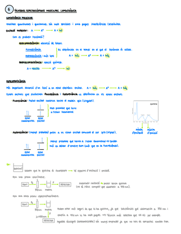 Apunts-Tema-6.pdf
