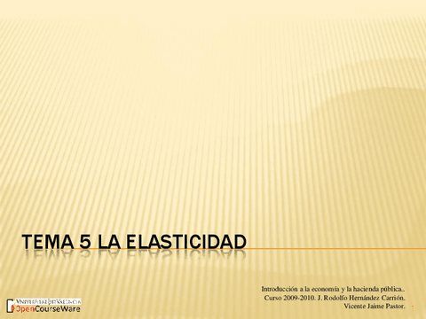 Elasticidad.pdf