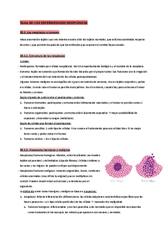 T.10-Fisiopatologia.pdf