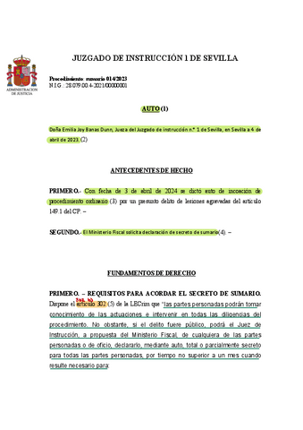 DOC-2.-AUTO-RESOLVIENDO-SECRETO-DE-SUMARIO.pdf