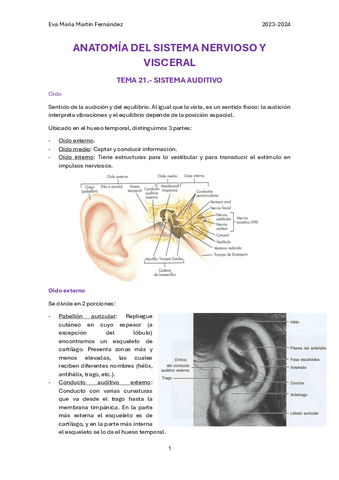 U.21.-SISTEMA-AUDITIVO.pdf