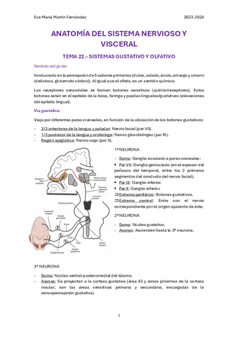 U.22.-SISTEMAS-GUSTATIVO-Y-OLFATIVO.pdf