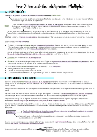 INTELIGENCIAS-resumen-T2.pdf