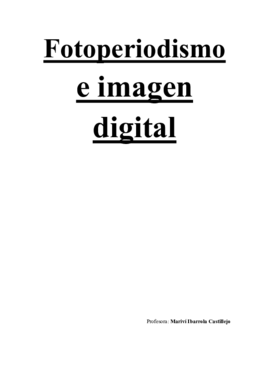 4.2. FOTOPERIODISMO E IMAGEN DIGITAL.pdf