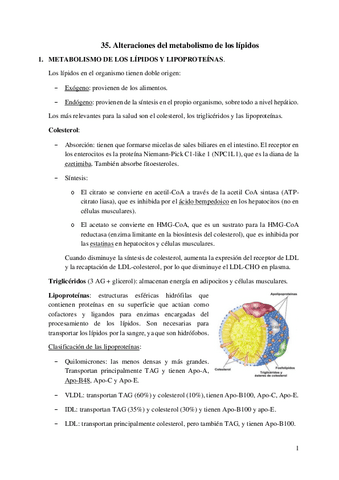 35.-Alteraciones-del-metabolismo-de-los-lipidos.pdf