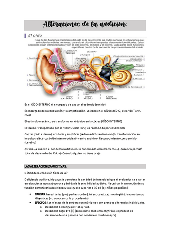 PATOLOGIAAUDICION.pdf