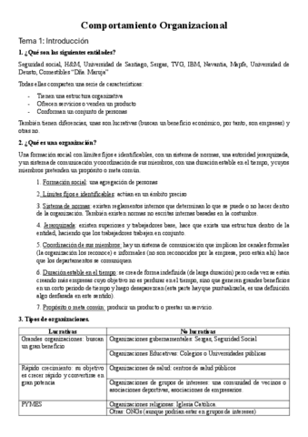 Comportamiento-Organizacional.pdf