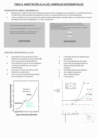 Tema-5-adaptacion-a-la-luz.pdf