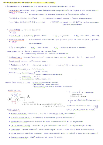 apuntes-biologia-2-bachiller.pdf