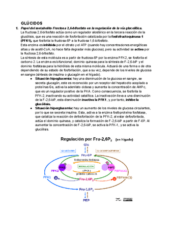 GLUCIDOS-EXAMEN-SEGUNDO-CUATRI.pdf