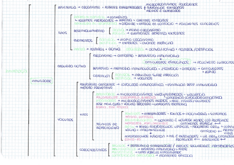 Inmunologia-esquemas-Sara-Paz-2oBACH-A.pdf