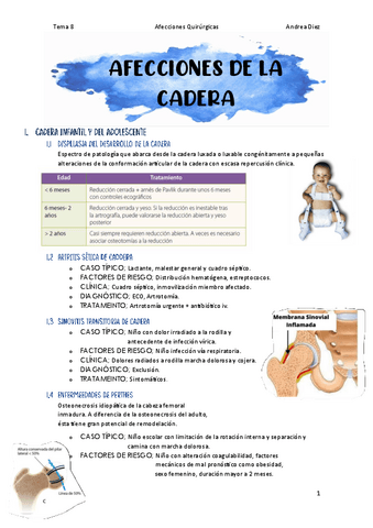 Tema-8-Afecciones-de-la-cadera.pdf