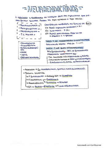 8.-TUMORES-NEUROENDOCRINOS-Y-DEL-SNC.pdf