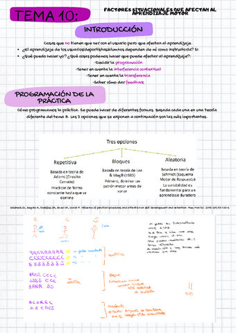 T.10-DESARROLLO-CONTROL-Y-APRENDIZAJE-MOTOR.pdf