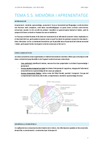 Tema-5.5.-Memoria-i-aprenentatge.pdf
