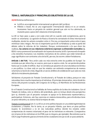 Tema-3.-Sistema-Comunitario-Europeo.pdf