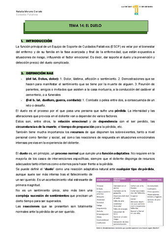 TEMA-14-EL-DUELO.pdf